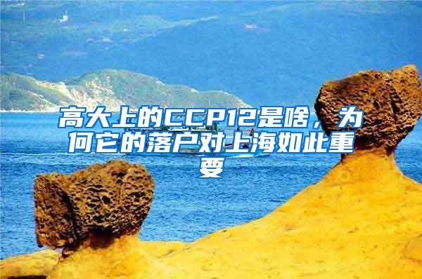 高大上的CCP12是啥，为何它的落户对上海如此重要