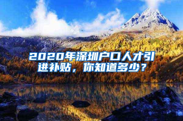 2020年深圳户口人才引进补贴，你知道多少？