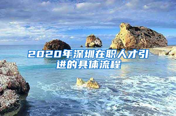 2020年深圳在职人才引进的具体流程