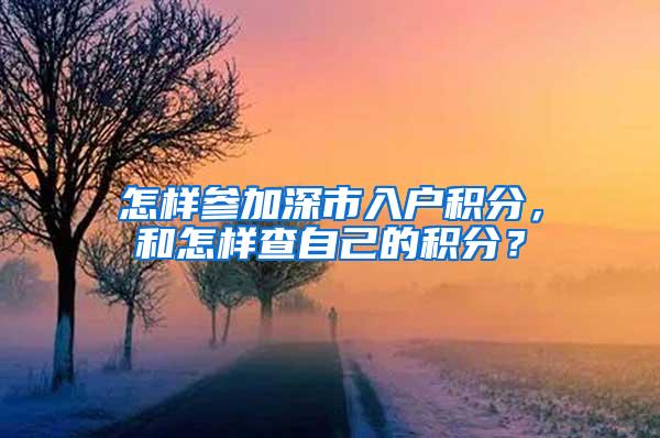 怎样参加深市入户积分，和怎样查自己的积分？