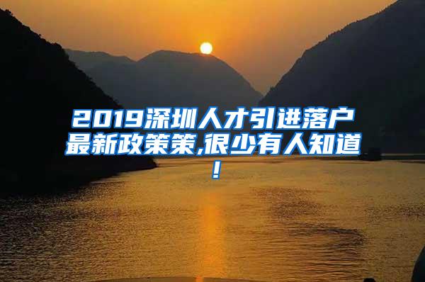 2019深圳人才引进落户最新政策策,很少有人知道！