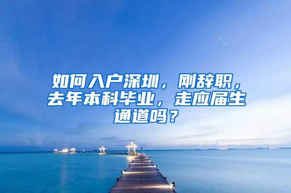 如何入户深圳，刚辞职，去年本科毕业，走应届生通道吗？