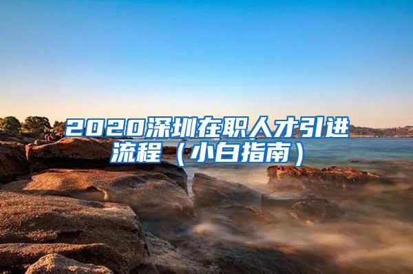 2020深圳在职人才引进流程（小白指南）