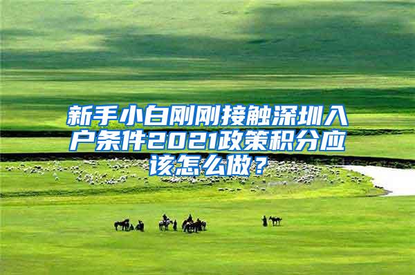 新手小白刚刚接触深圳入户条件2021政策积分应该怎么做？