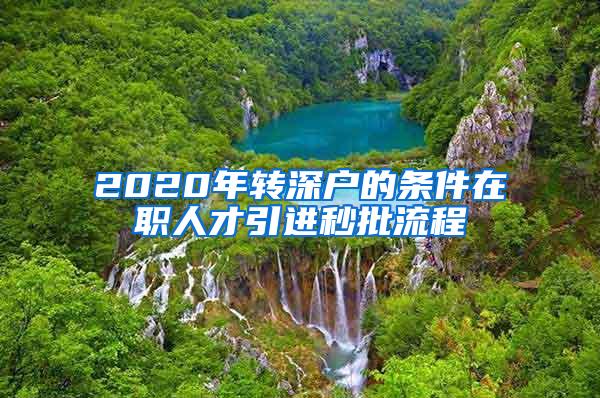 2020年转深户的条件在职人才引进秒批流程