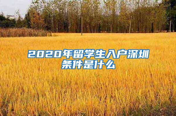 2020年留学生入户深圳条件是什么