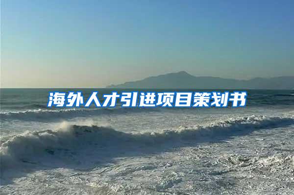 海外人才引进项目策划书