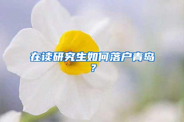 在读研究生如何落户青岛？