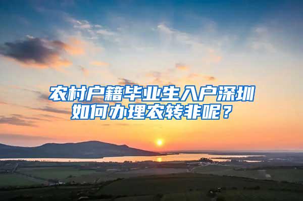 农村户籍毕业生入户深圳如何办理农转非呢？