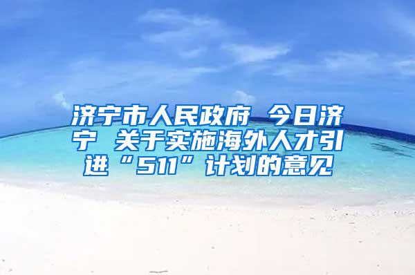 济宁市人民政府 今日济宁 关于实施海外人才引进“511”计划的意见