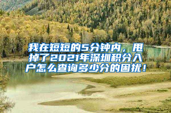 我在短短的5分钟内，甩掉了2021年深圳积分入户怎么查询多少分的困扰！