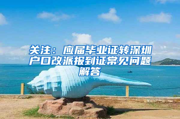 关注：应届毕业证转深圳户口改派报到证常见问题解答