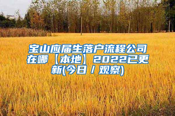 宝山应届生落户流程公司在哪【本地】2022已更新(今日／观察)