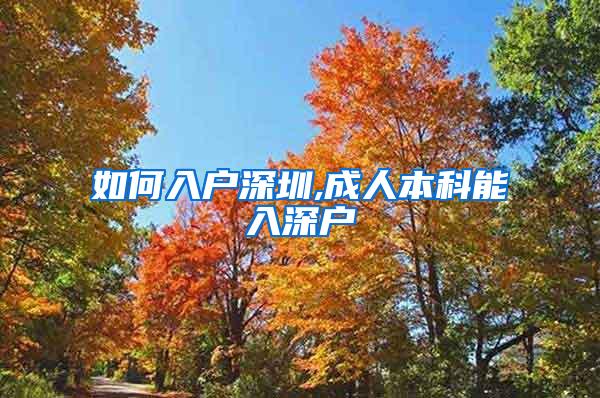 如何入户深圳,成人本科能入深户