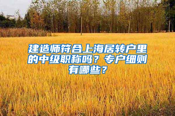 建造师符合上海居转户里的中级职称吗？专户细则有哪些？