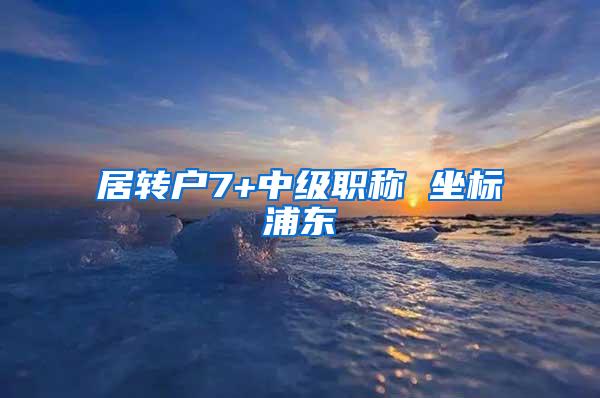 居转户7+中级职称 坐标浦东