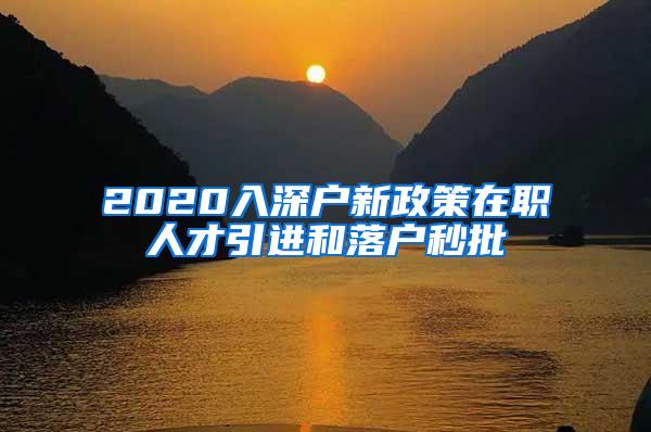 2020入深户新政策在职人才引进和落户秒批