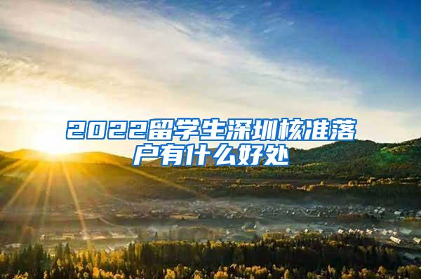 2022留学生深圳核准落户有什么好处