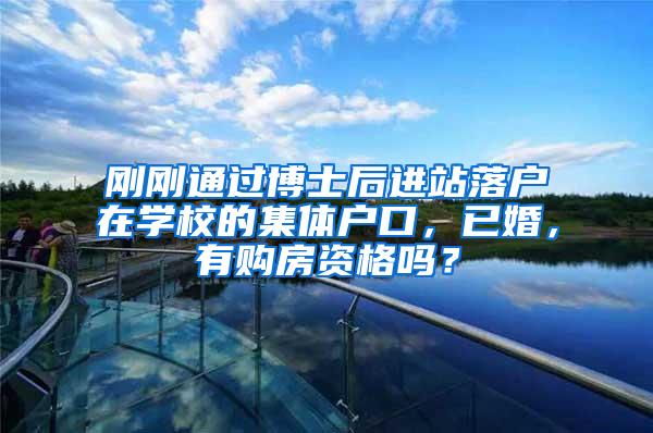 刚刚通过博士后进站落户在学校的集体户口，已婚，有购房资格吗？