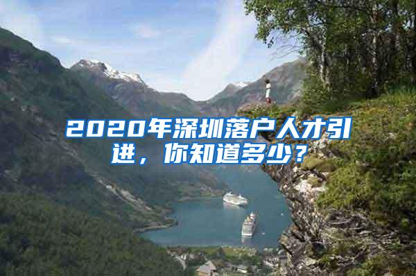 2020年深圳落户人才引进，你知道多少？