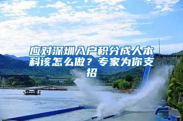 应对深圳入户积分成人本科该怎么做？专家为你支招