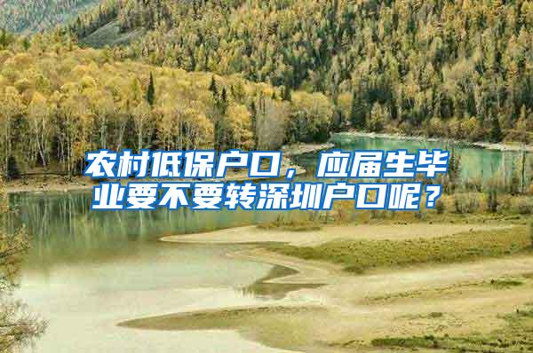 农村低保户口，应届生毕业要不要转深圳户口呢？