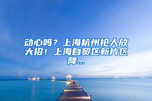 动心吗？上海杭州抢人放大招！上海自贸区新片区降...