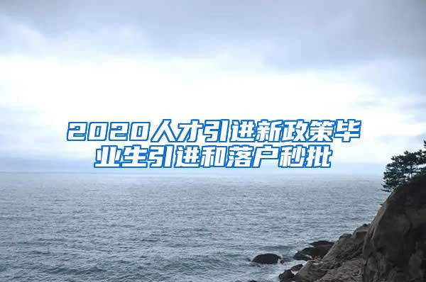 2020人才引进新政策毕业生引进和落户秒批