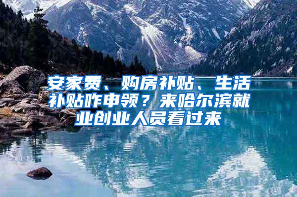 安家费、购房补贴、生活补贴咋申领？来哈尔滨就业创业人员看过来