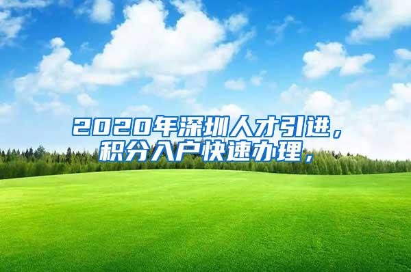 2020年深圳人才引进，积分入户快速办理，