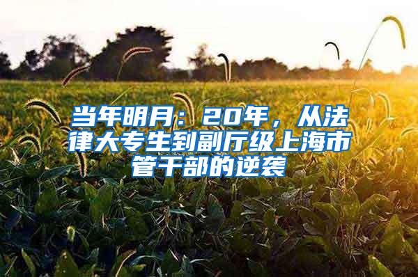 当年明月：20年，从法律大专生到副厅级上海市管干部的逆袭