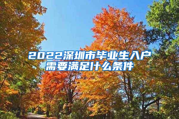 2022深圳市毕业生入户需要满足什么条件