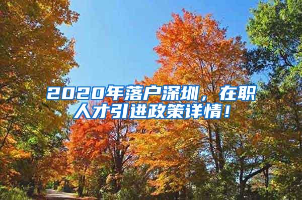 2020年落户深圳，在职人才引进政策详情！