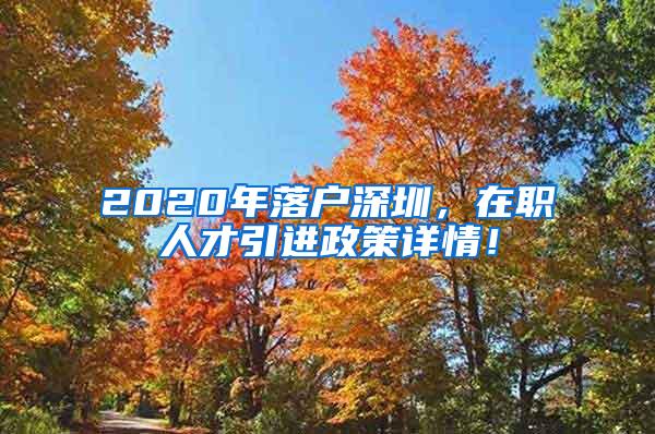 2020年落户深圳，在职人才引进政策详情！