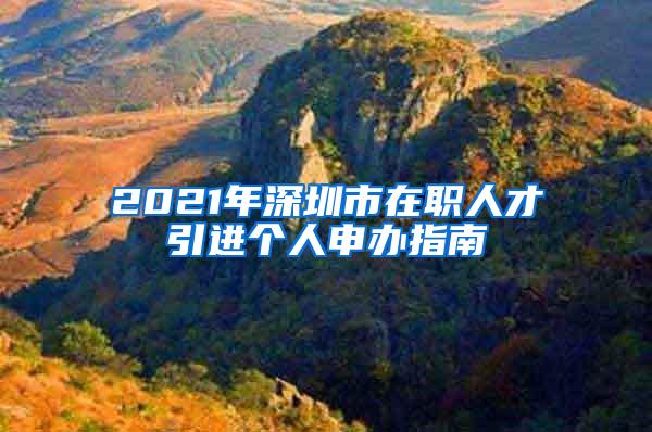 2021年深圳市在职人才引进个人申办指南