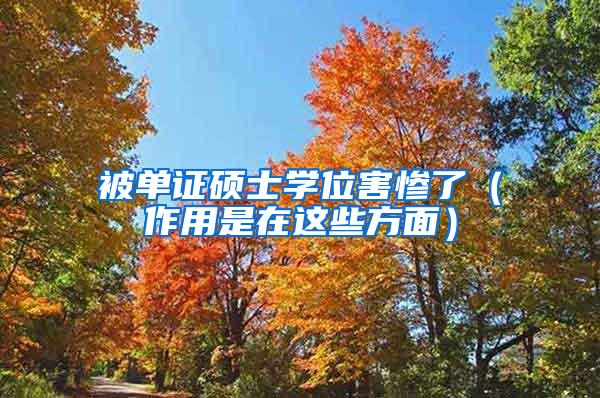 被单证硕士学位害惨了（作用是在这些方面）