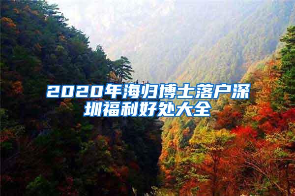 2020年海归博士落户深圳福利好处大全