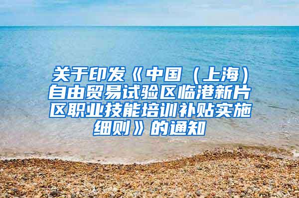 关于印发《中国（上海）自由贸易试验区临港新片区职业技能培训补贴实施细则》的通知