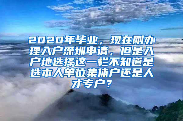 2020年毕业，现在刚办理入户深圳申请，但是入户地选择这一栏不知道是选本人单位集体户还是人才专户？