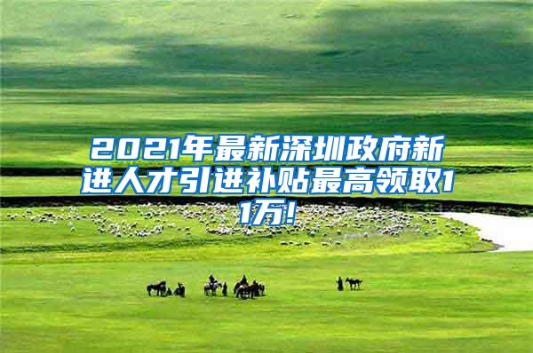 2021年最新深圳政府新进人才引进补贴最高领取11万!