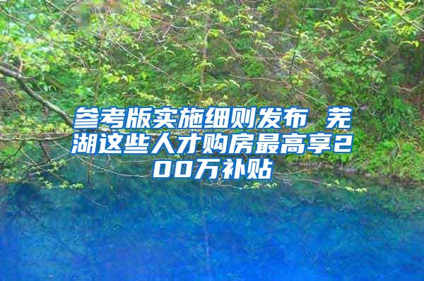 参考版实施细则发布 芜湖这些人才购房最高享200万补贴