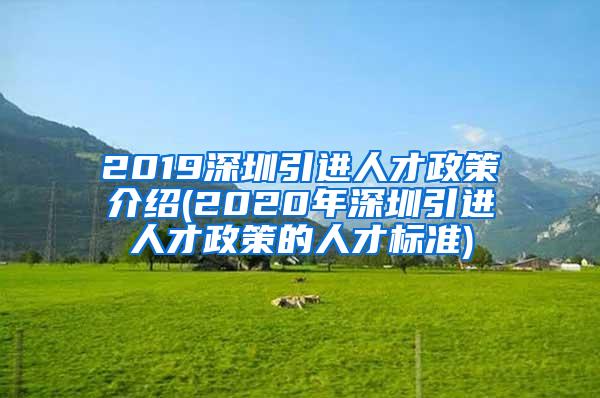 2019深圳引进人才政策介绍(2020年深圳引进人才政策的人才标准)