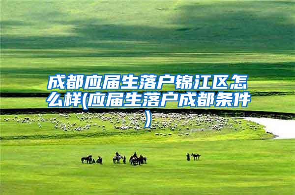 成都应届生落户锦江区怎么样(应届生落户成都条件)