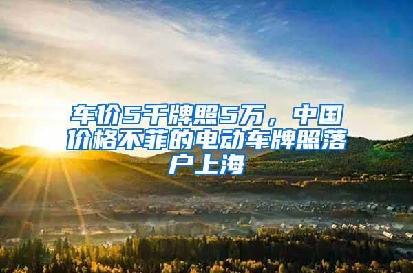 车价5千牌照5万，中国价格不菲的电动车牌照落户上海