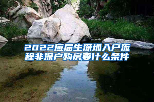 2022应届生深圳入户流程非深户购房要什么条件