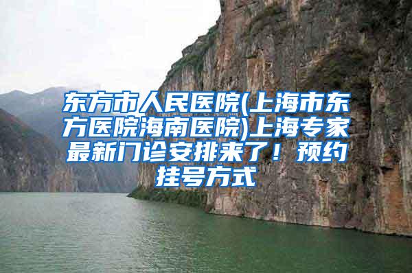 东方市人民医院(上海市东方医院海南医院)上海专家最新门诊安排来了！预约挂号方式→