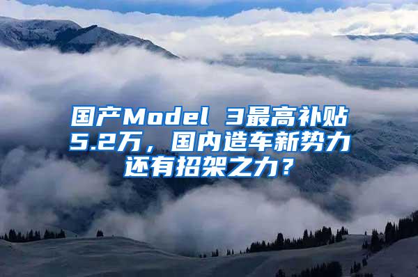 国产Model 3最高补贴5.2万，国内造车新势力还有招架之力？