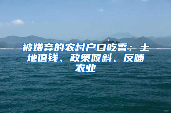 被嫌弃的农村户口吃香：土地值钱、政策倾斜、反哺农业