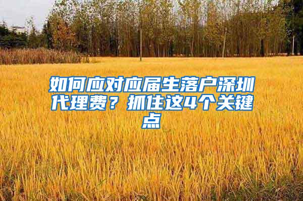 如何应对应届生落户深圳代理费？抓住这4个关键点