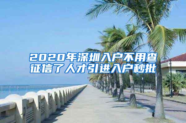 2020年深圳入户不用查征信了人才引进入户秒批